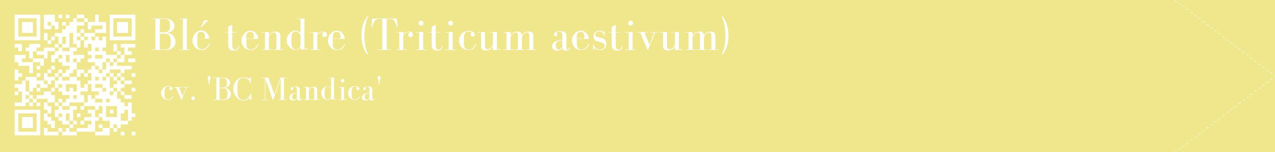 étiquette 2
