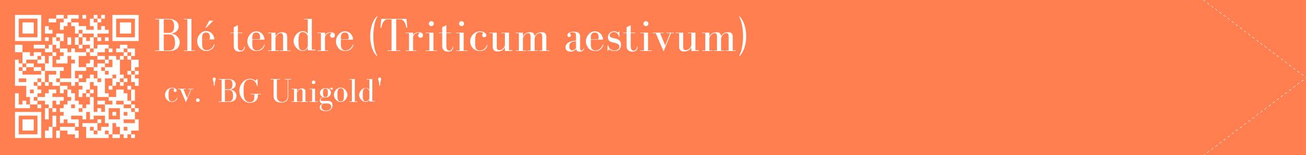 étiquette 2