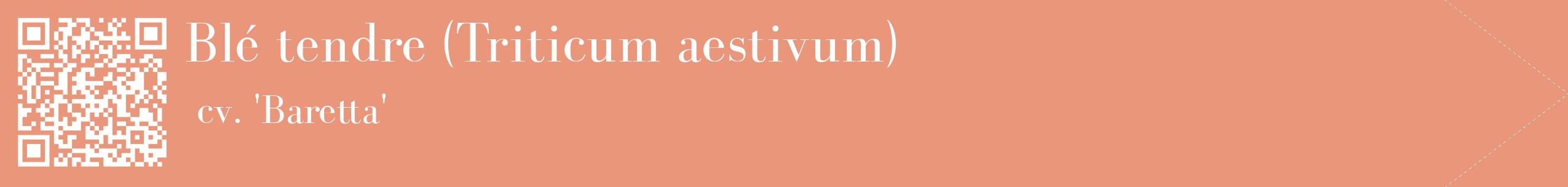 étiquette 2