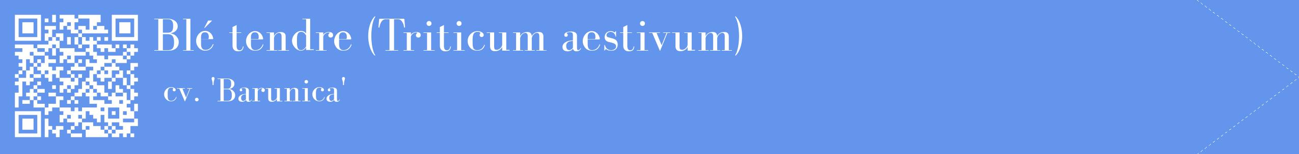 étiquette 2