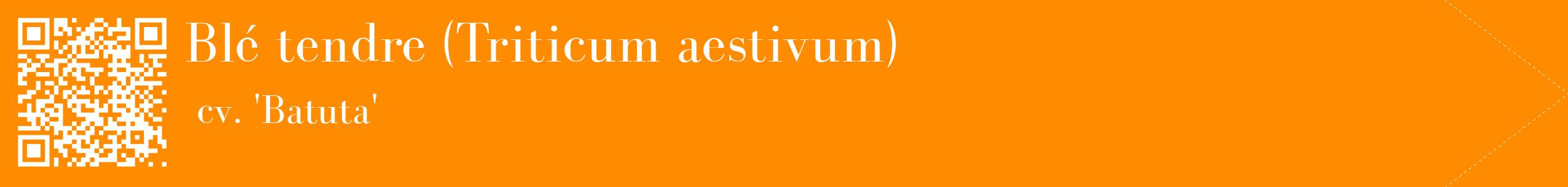 étiquette 2