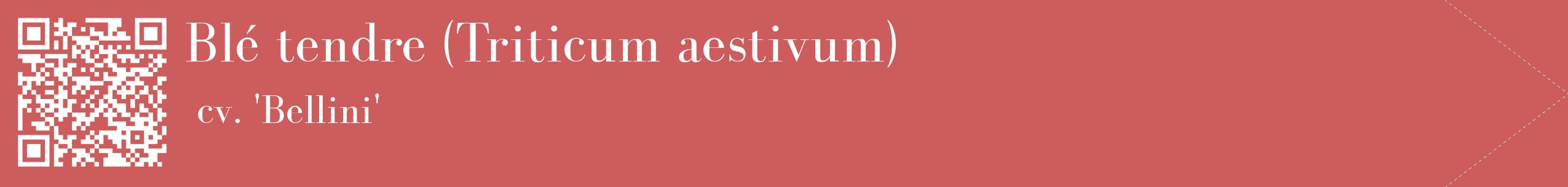 étiquette 2