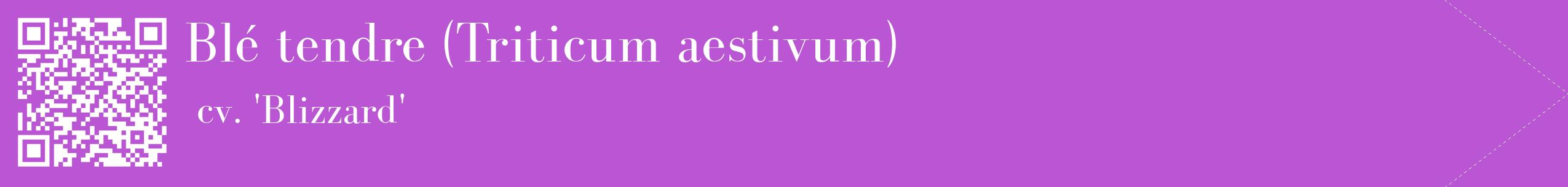 étiquette 2