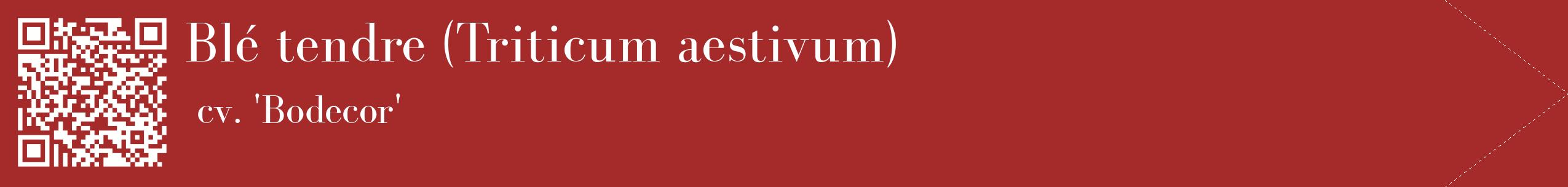 étiquette 2