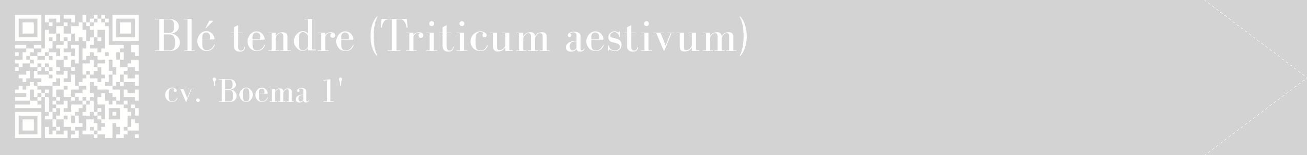 étiquette 2