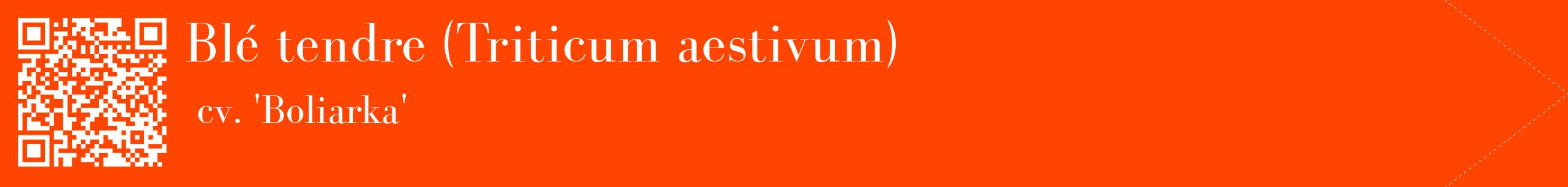 étiquette 2