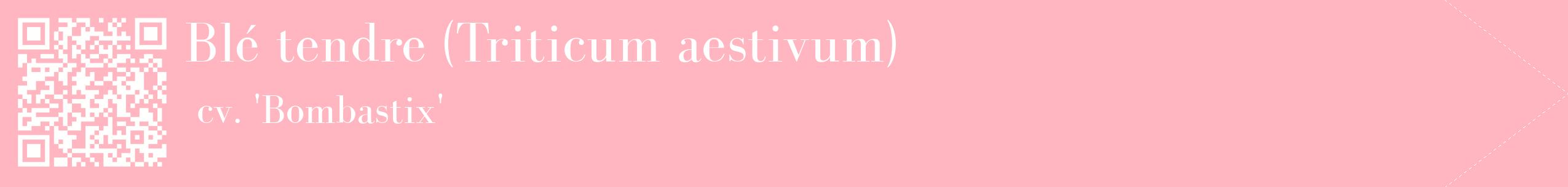 étiquette 2