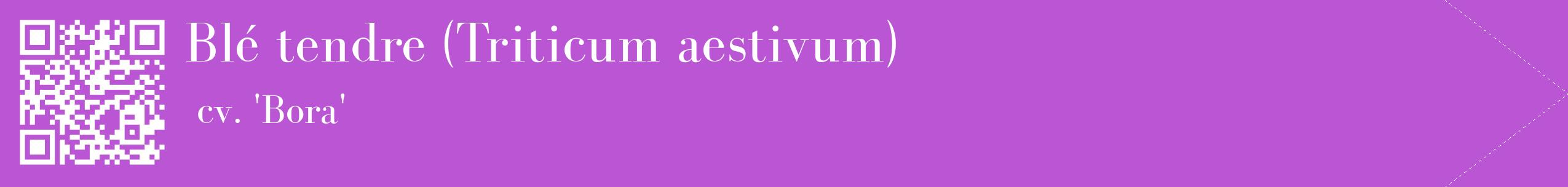 étiquette 2
