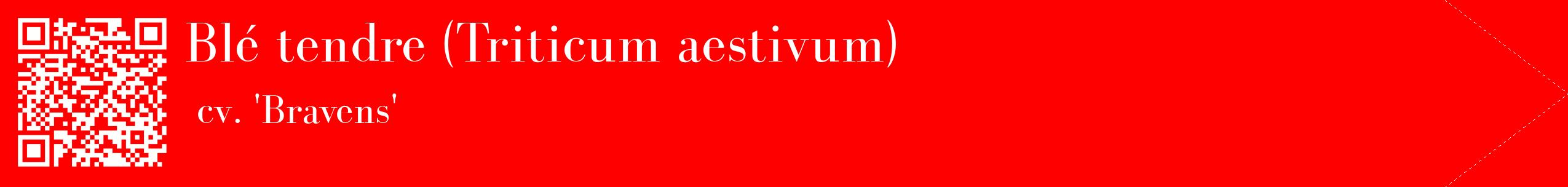 étiquette 2