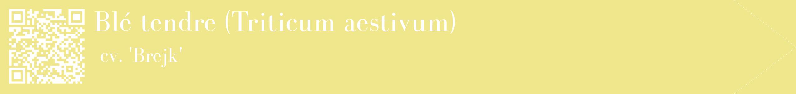 étiquette 2