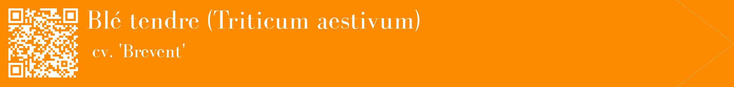 étiquette 2