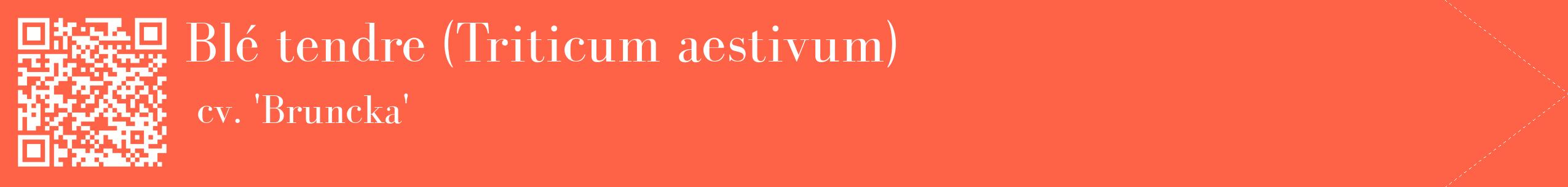 étiquette 2