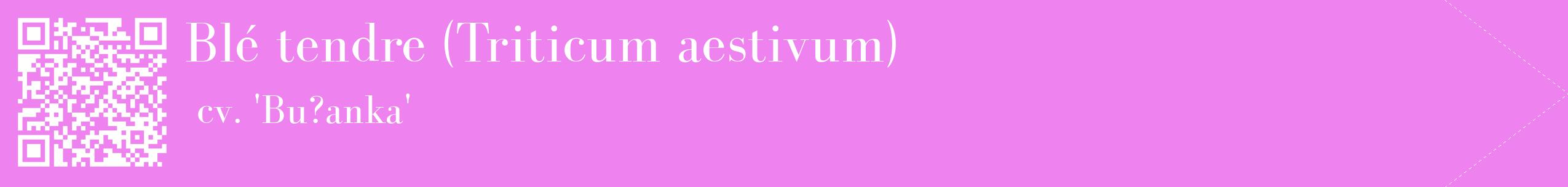 étiquette 2