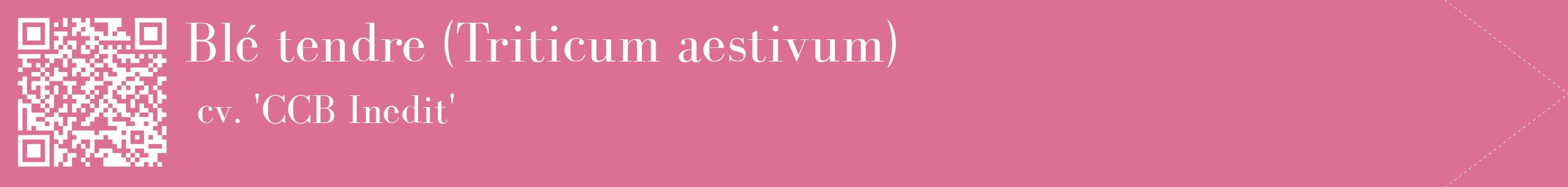 étiquette 2