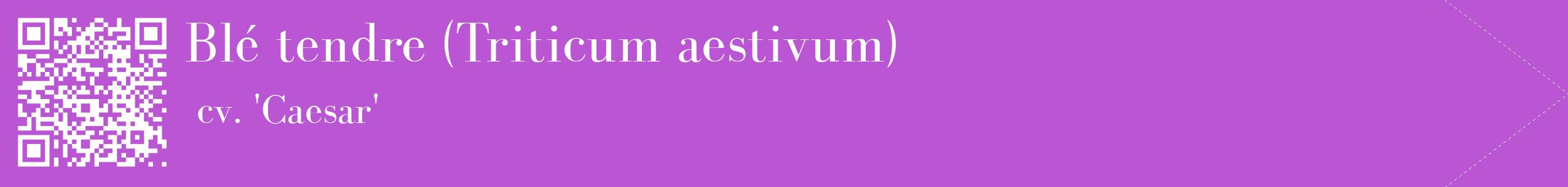 étiquette 2