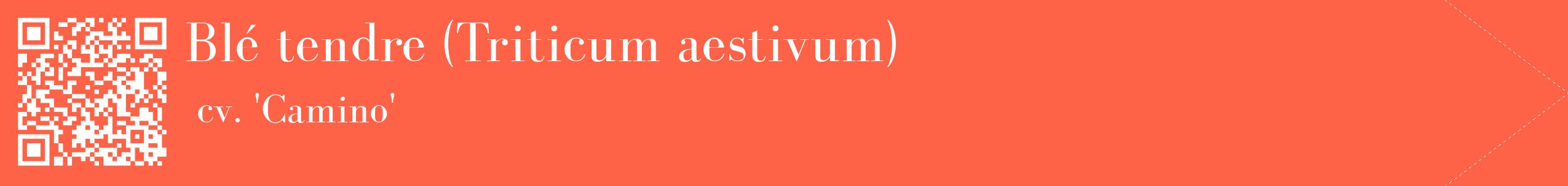 étiquette 2