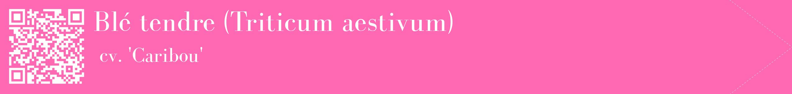 étiquette 2