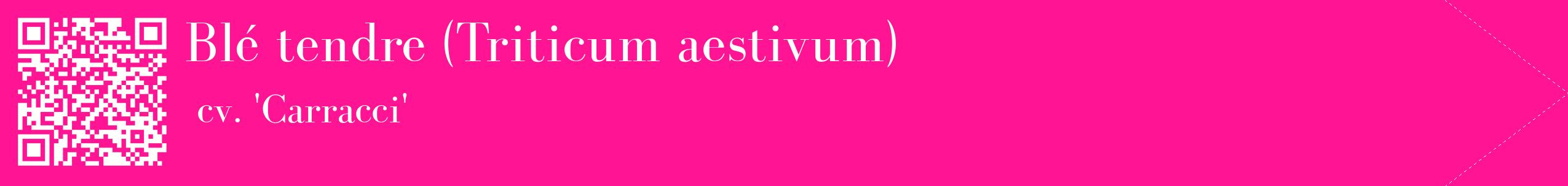 étiquette 2