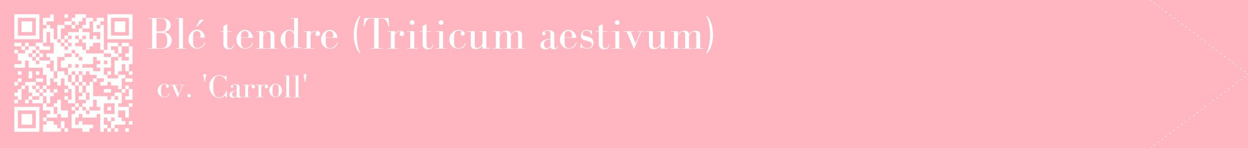 étiquette 2