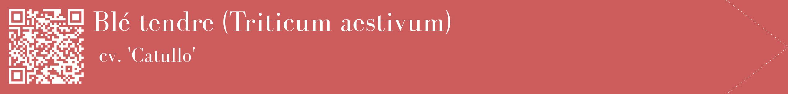 étiquette 2