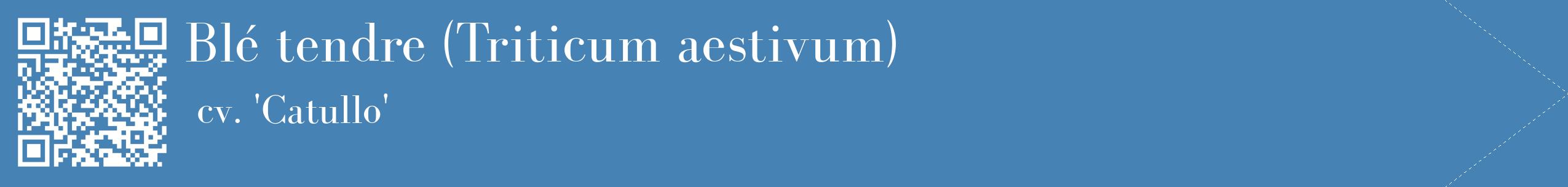 étiquette 2
