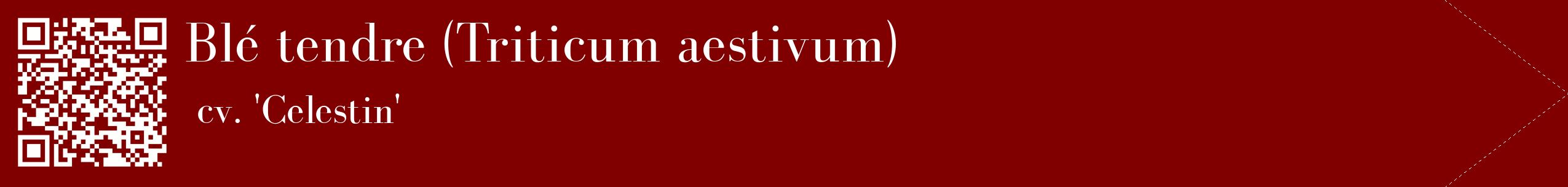 étiquette 2
