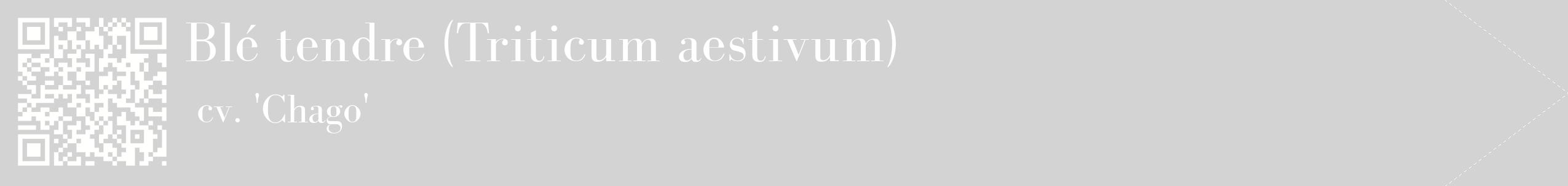 étiquette 2