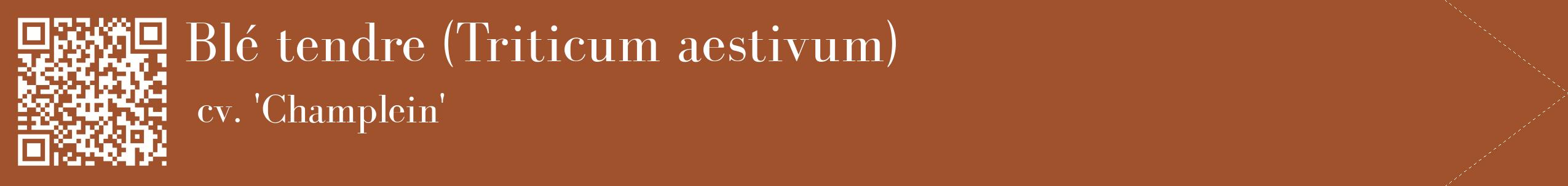 étiquette 2