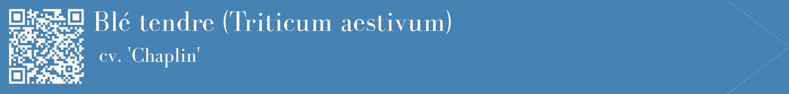 étiquette 2