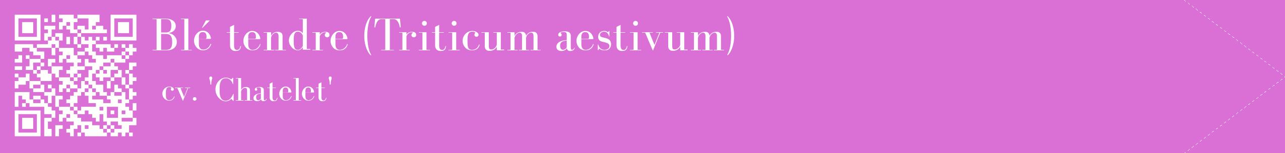 étiquette 2