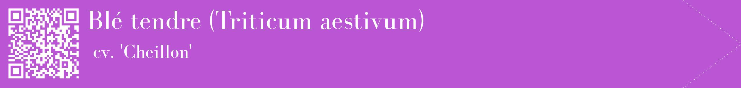étiquette 2