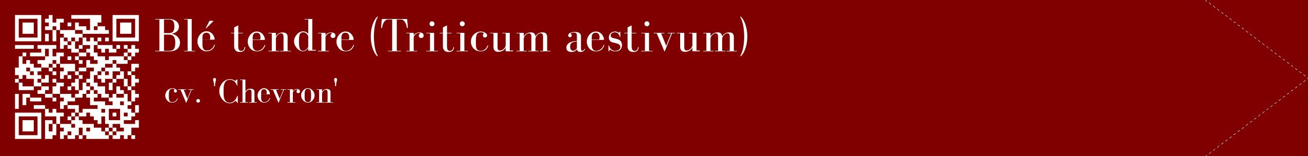étiquette 2