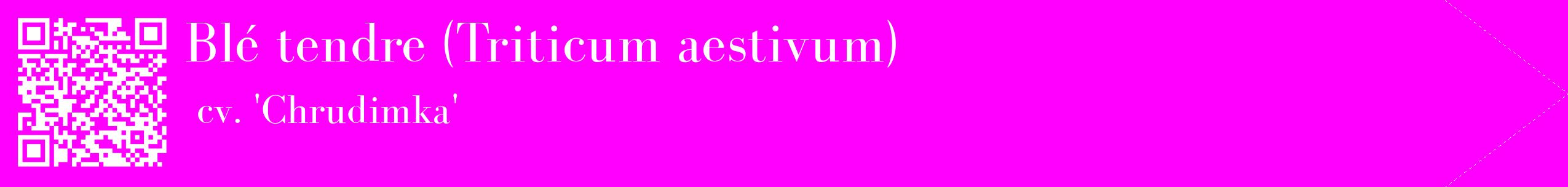 étiquette 2