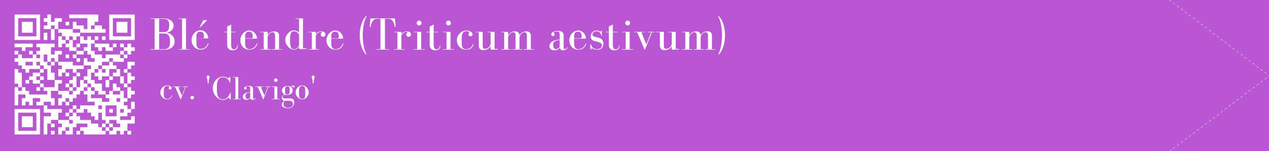 étiquette 2