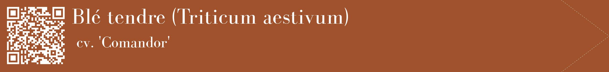 étiquette 2