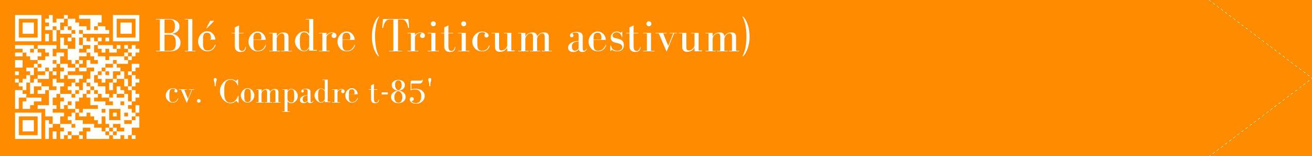 étiquette 2