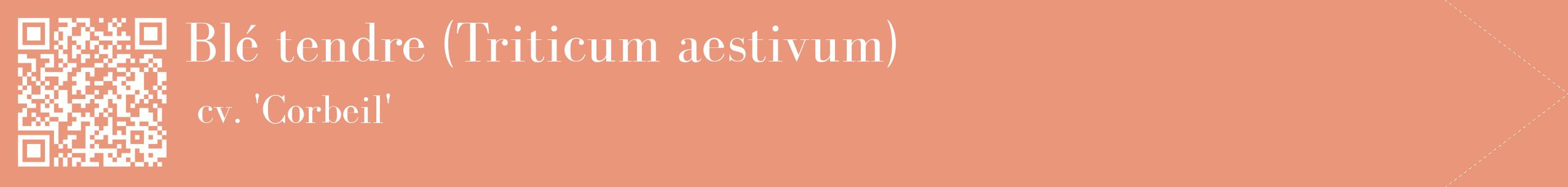 étiquette 2