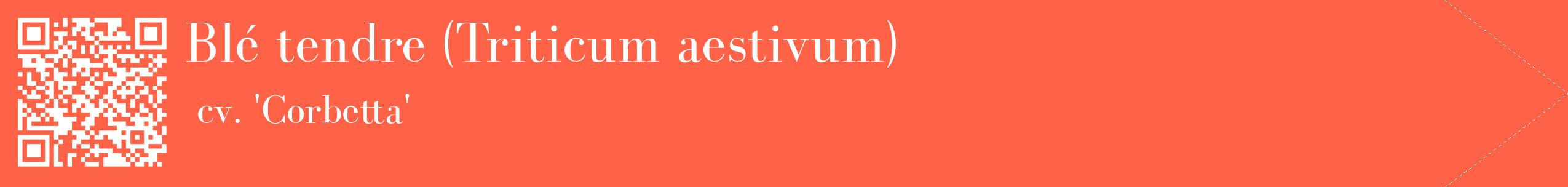 étiquette 2