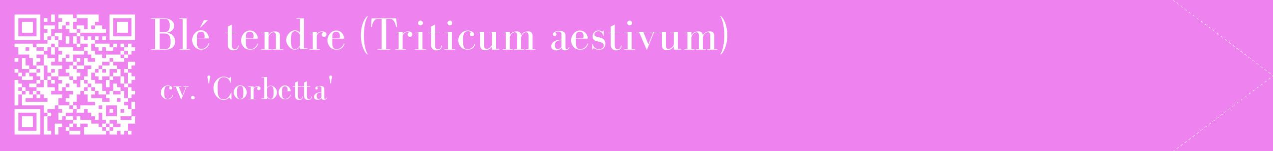 étiquette 2