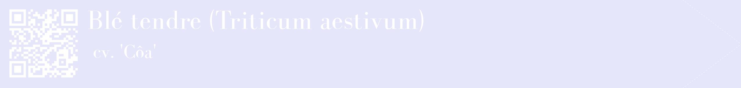 étiquette 2