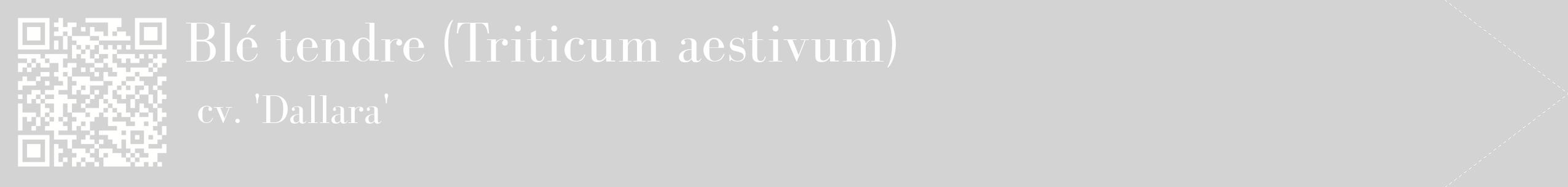 étiquette 2