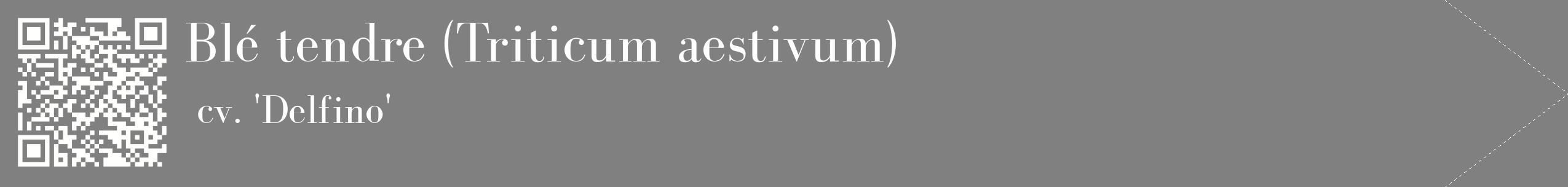 étiquette 2