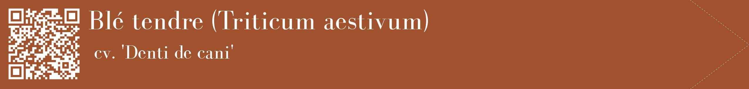 étiquette 2