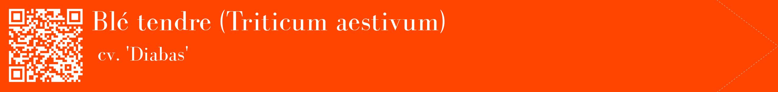 étiquette 2