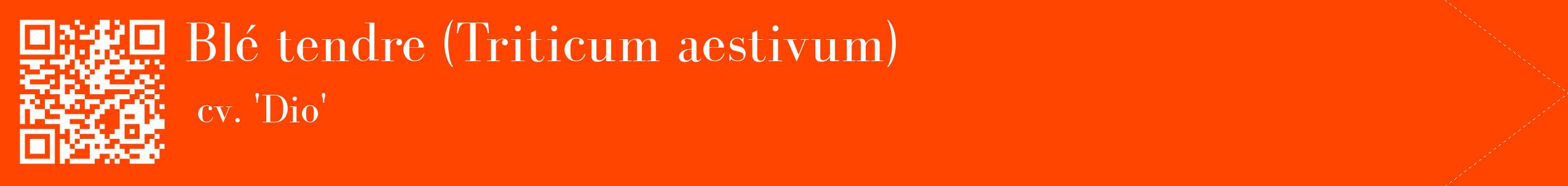 étiquette 2