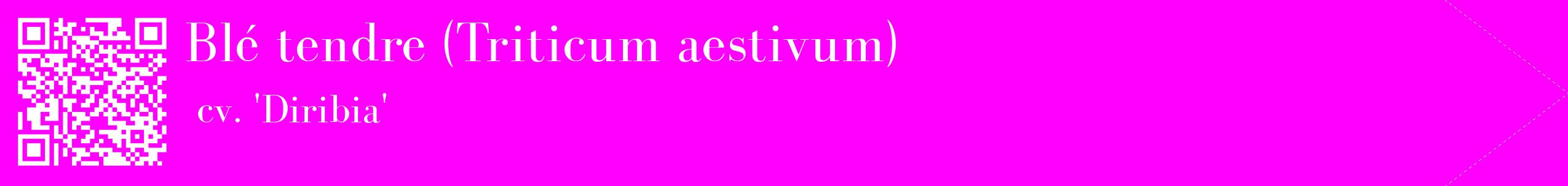 étiquette 2