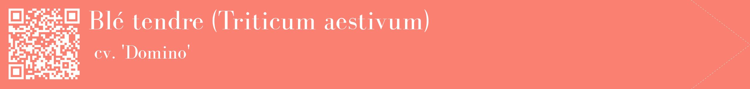 étiquette 2