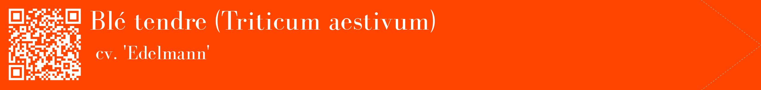 étiquette 2