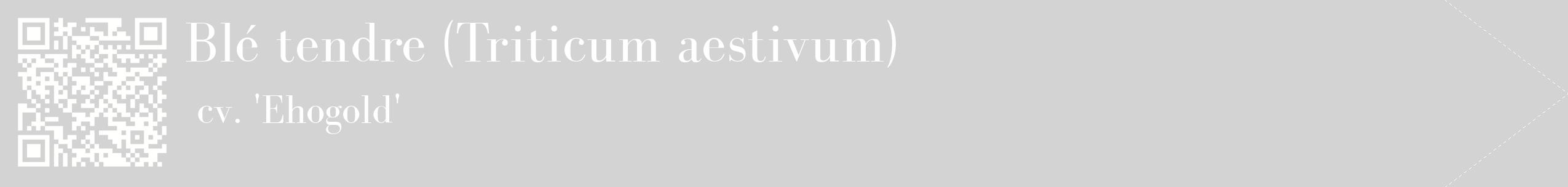 étiquette 2