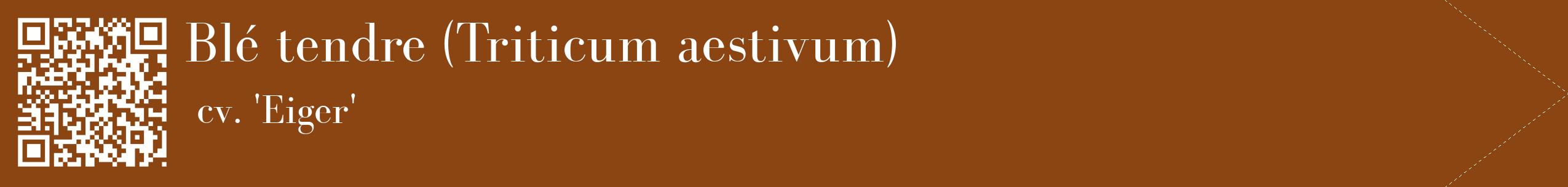 étiquette 2